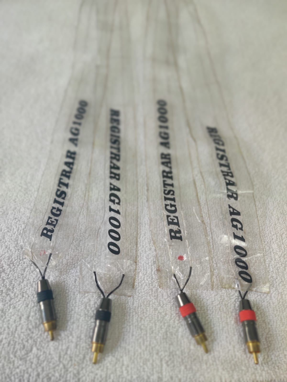 PHOTO-2021-09-23-15-47-27